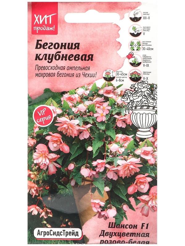 Семена Цветов Бегония 