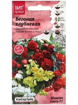 Семена Цветов Бегония 