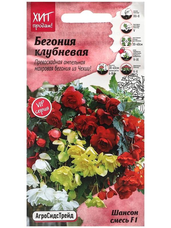 Семена Цветов Бегония 