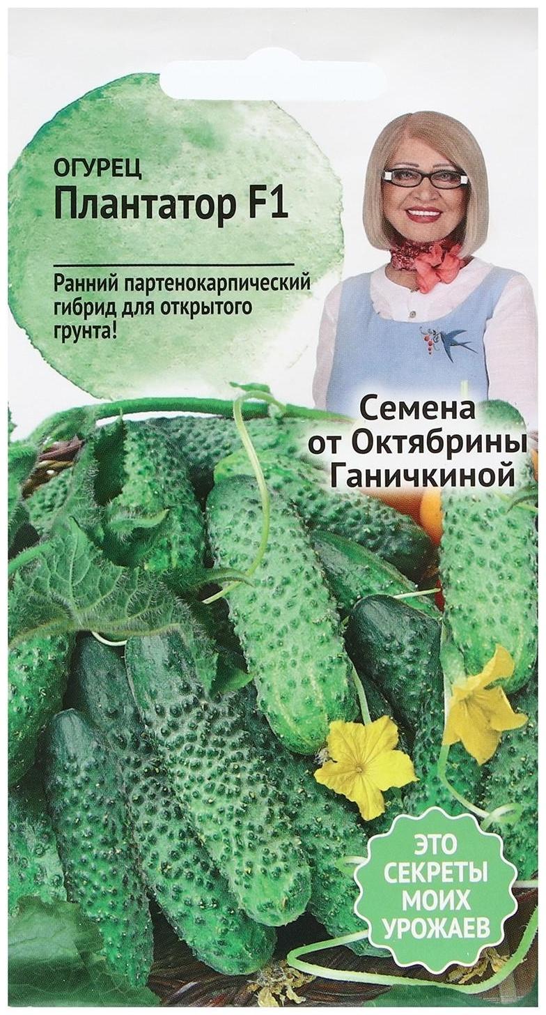 Семена Огурец 