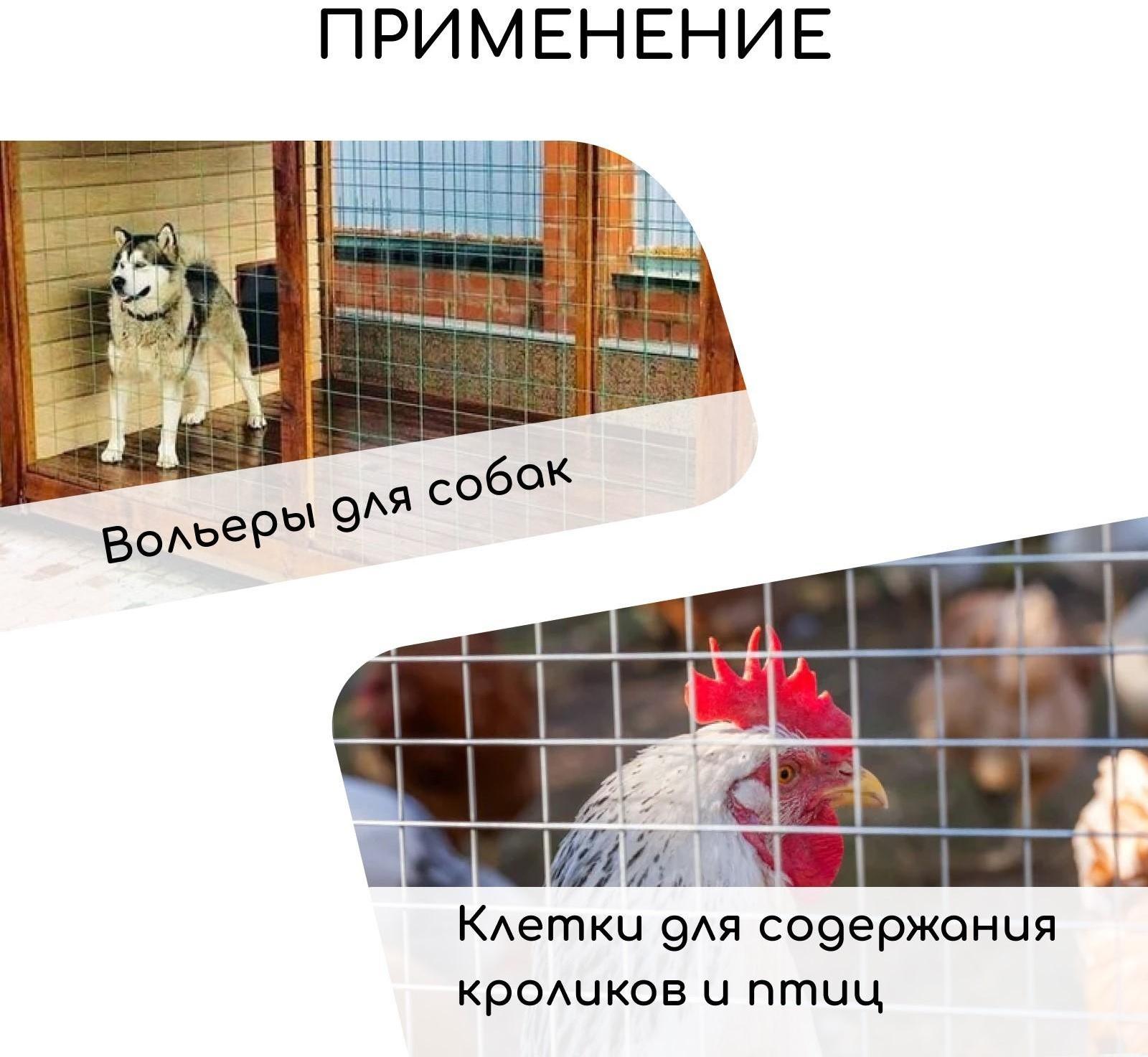 Сетка сварная с ПВХ покрытием, 10 × 1 м, ячейка 75 × 100 мм, d = 1 мм, металл, Greengo