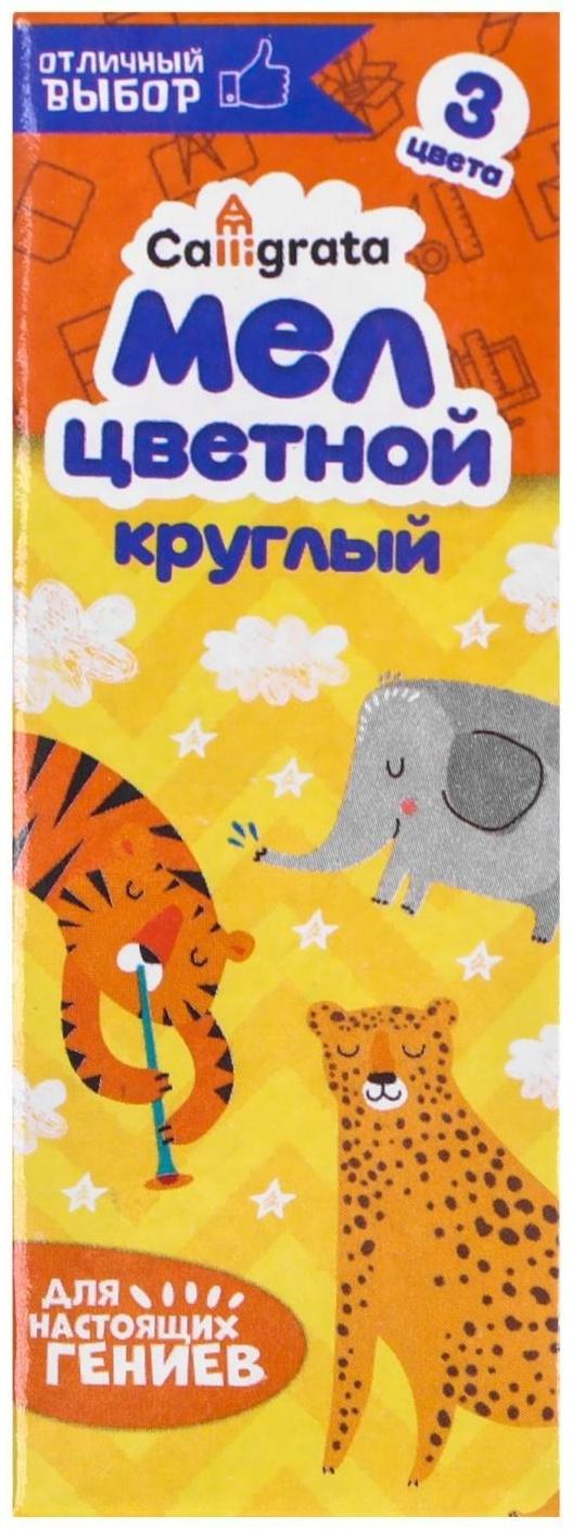 Летающая тарелка, 24 × 24 × 2,5 см, цвет голубой + мел в подарок