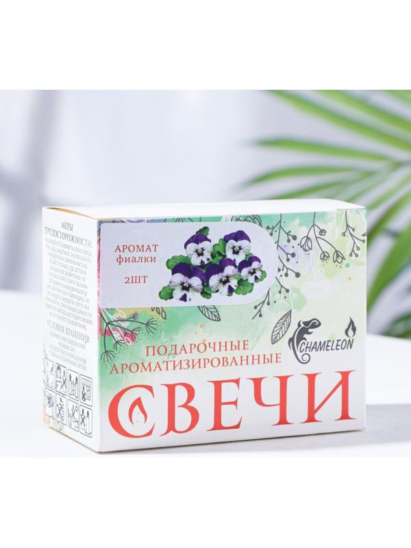 Набор свечей-столбиков 2 шт, 4х6 см, фиалка