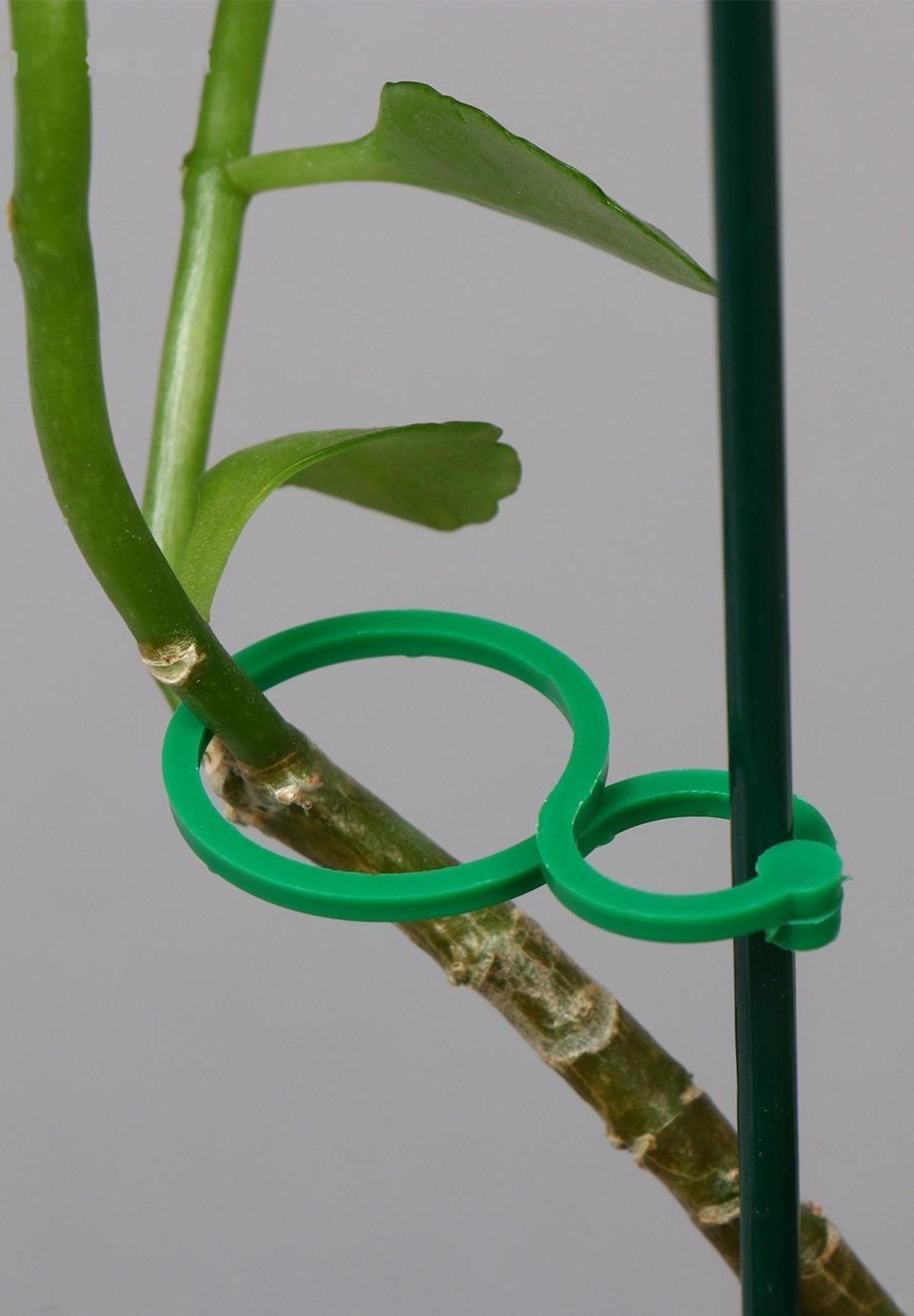 Набор креплений для растений, 6 × 3 см, набор 30 шт., Greengo