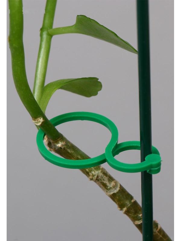 Набор креплений для растений, 6 × 3 см, набор 30 шт., Greengo