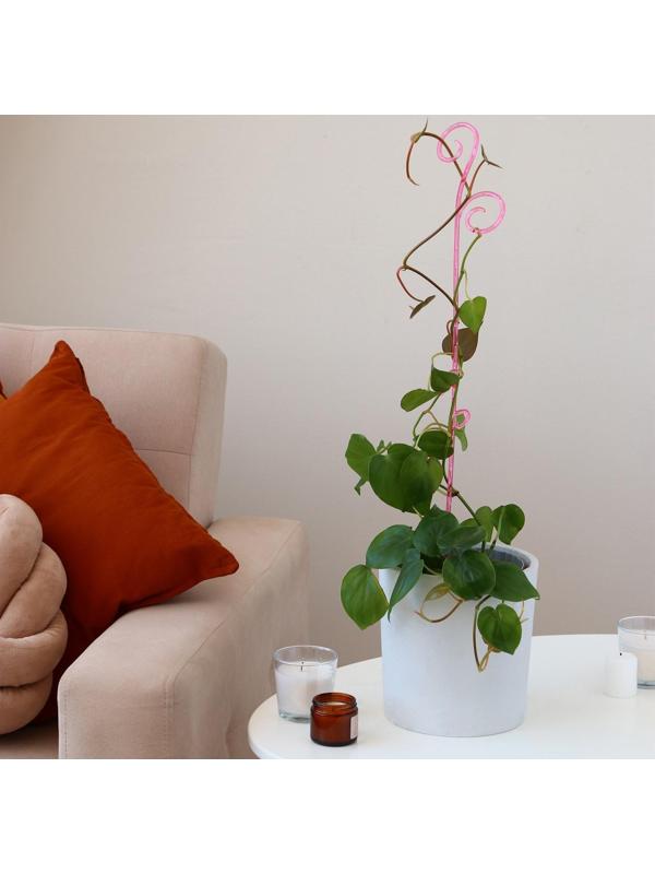 Поддержка для орхидей, h = 62 см, пластик, розовая