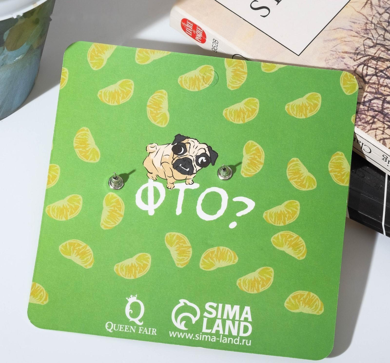 Серьги пластик 