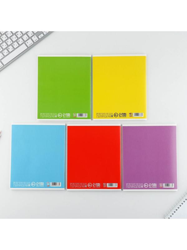 Тетрадь А5, 48 л на скрепке МИКС «Boo!», обложка мелованный картон 230 гр., внутренний блок №1, в клетку 80 гр., белизна 96% / 1 шт.