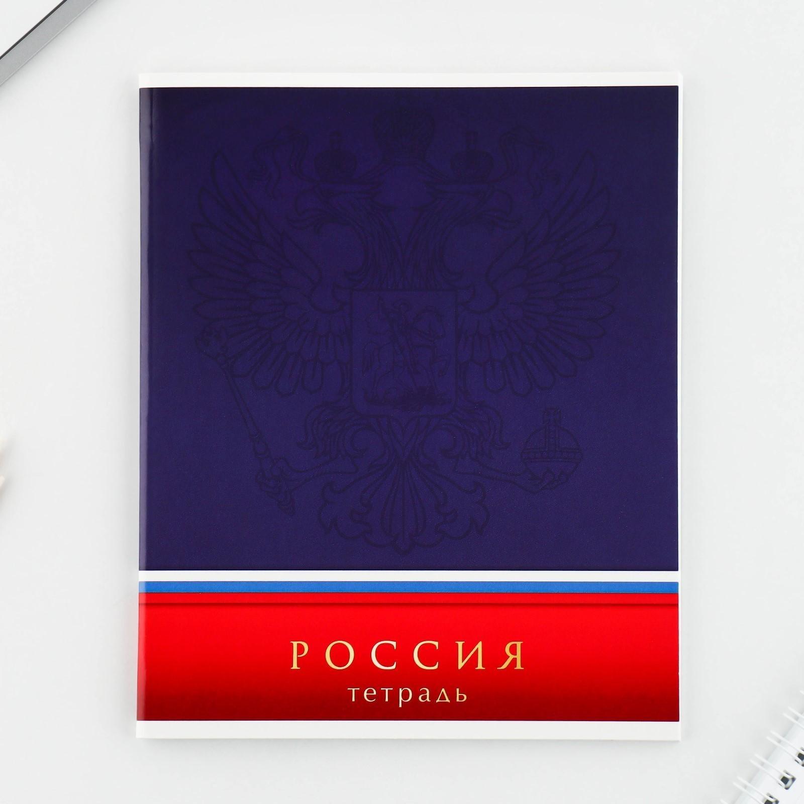 Тетрадь А5, 48 л на скрепке «Шрифтовые яркие», обложка мелованный картон 230 гр., внутренний блок №1, в клетку 80 гр., белизна 96% / Микс 1 шт.