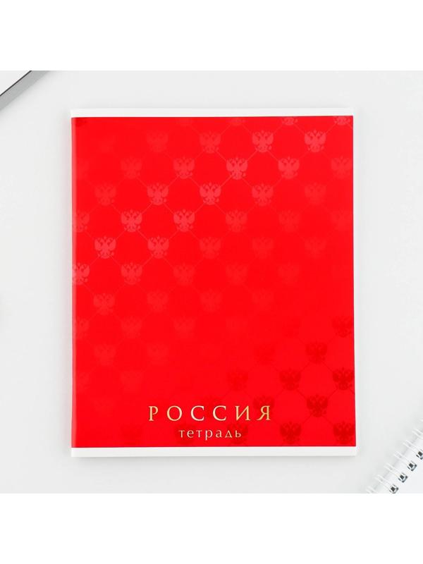 Тетрадь А5, 48 л на скрепке «Шрифтовые яркие», обложка мелованный картон 230 гр., внутренний блок №1, в клетку 80 гр., белизна 96% / Микс 1 шт.