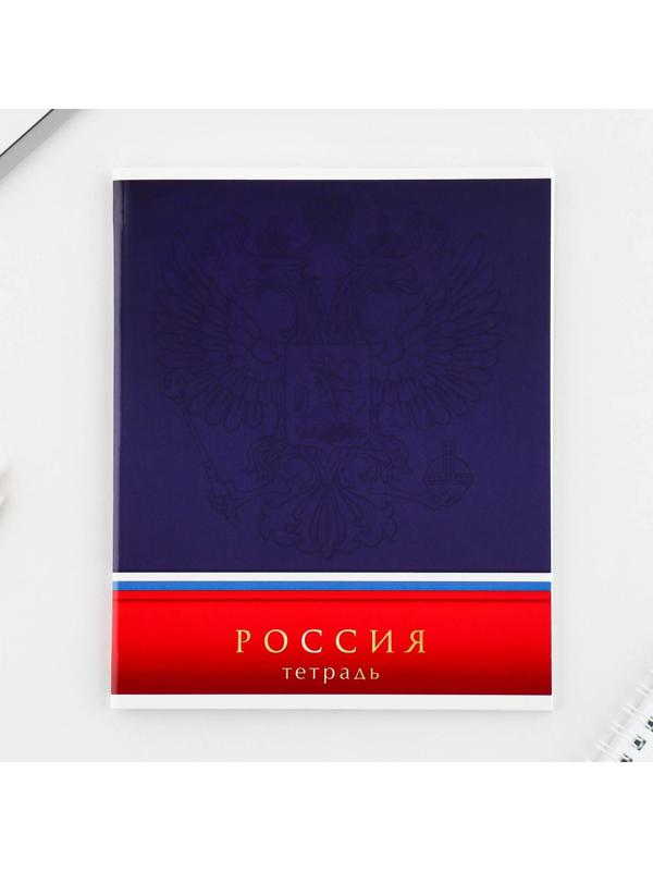 Тетрадь А5, 48 л на скрепке «Шрифтовые яркие», обложка мелованный картон 230 гр., внутренний блок №1, в клетку 80 гр., белизна 96% / Микс 1 шт.