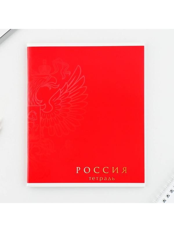 Тетрадь А5, 48 л на скрепке «Шрифтовые яркие», обложка мелованный картон 230 гр., внутренний блок №1, в клетку 80 гр., белизна 96% / Микс 1 шт.