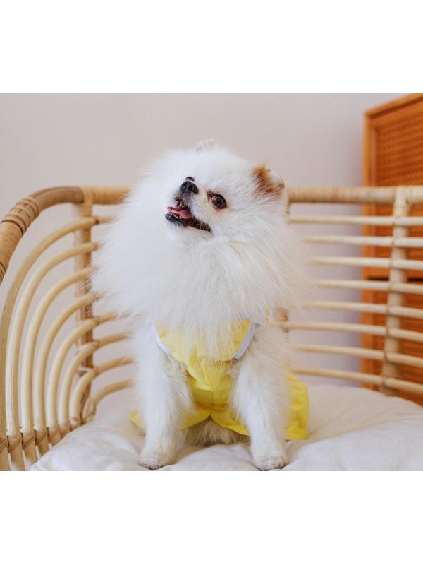Платье для собак кулирка, XS (ДС 24, ОШ 32-36, ОГ 34-38), Желтое