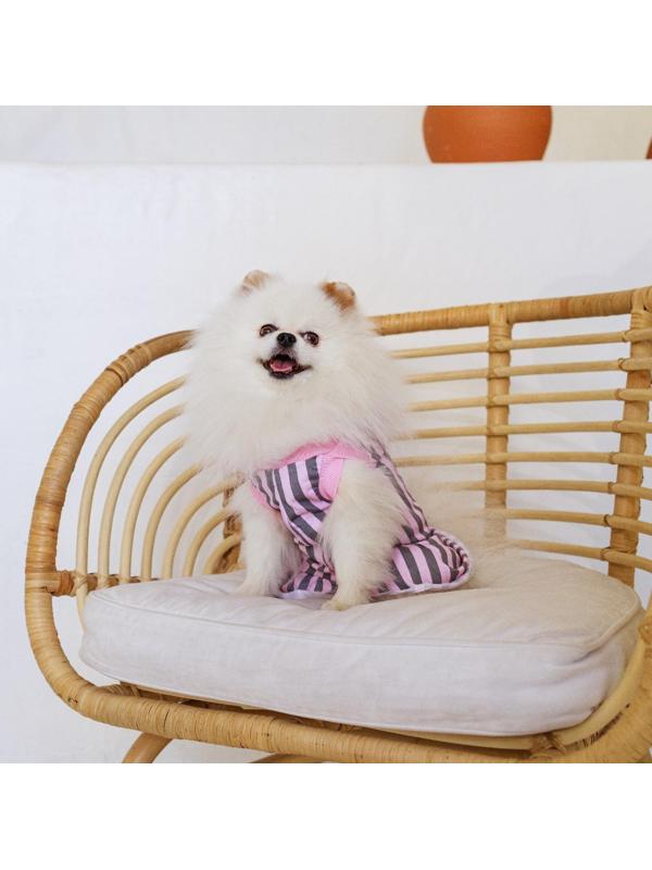 Платье для собак кулирка, S (ДС 27, ОШ 32-36, ОГ 38-42), Розовое с серыми полосками