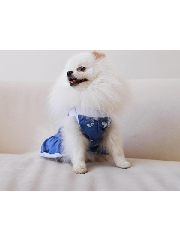 Платье для собак кулирка, М (ДС 30, ОШ 34-38, ОГ 40-44), Синее