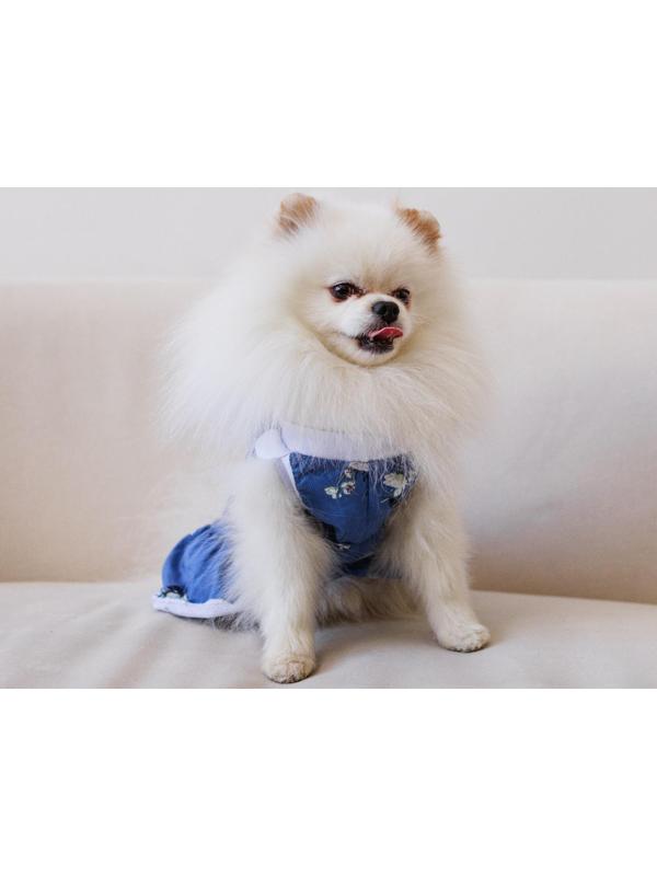 Платье для собак кулирка, L (ДС 32, ОШ 38-42, ОГ 44-48), Синее