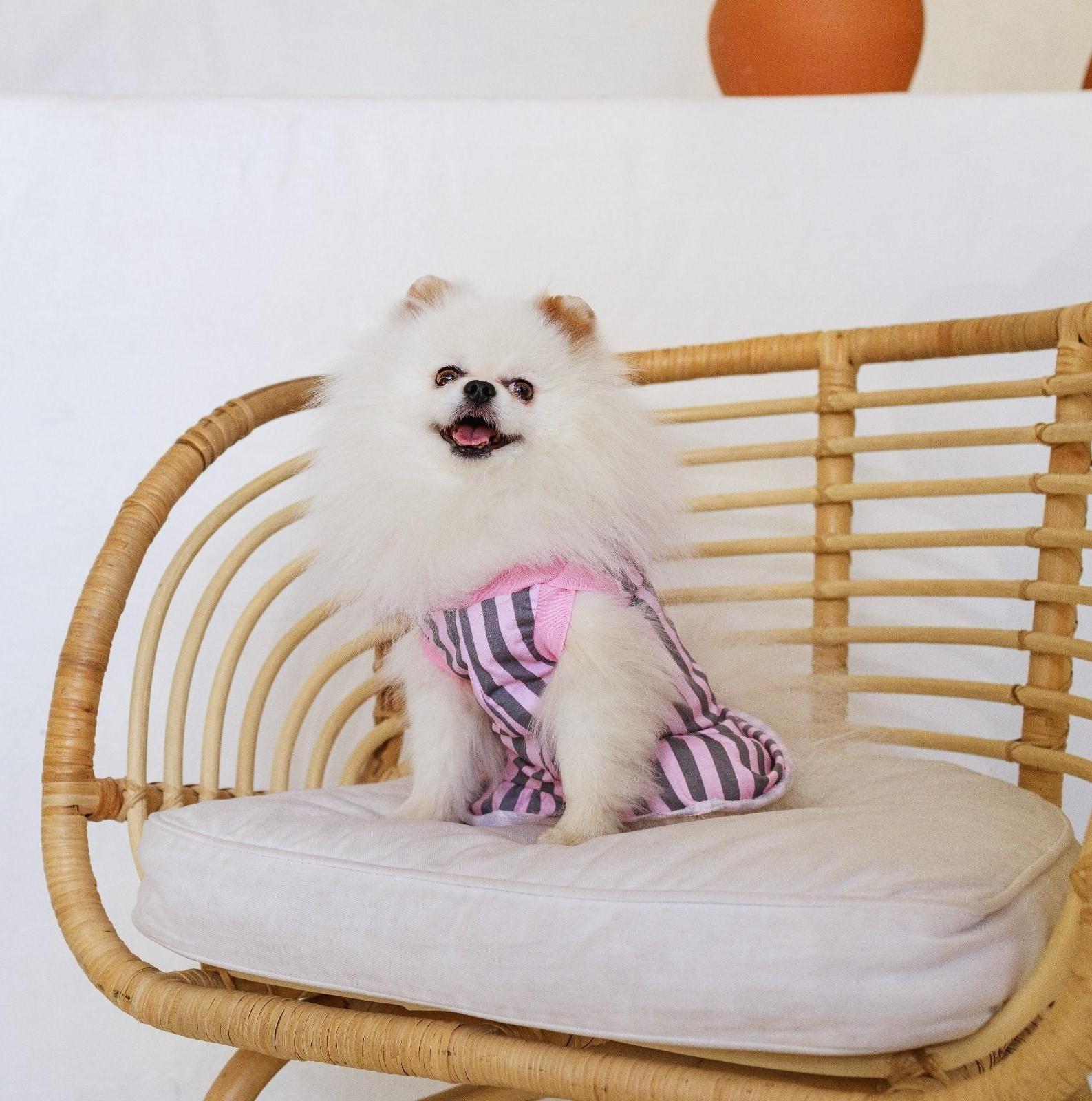 Платье для собак кулирка, L (ДС 32, ОШ 38-42, ОГ 44-48), Розовое с серыми полосками