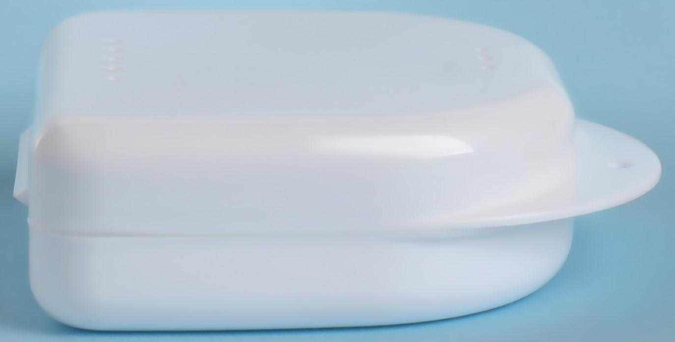 Контейнер для хранения протезов, 8,5 × 8 × 2,7 см, цвет МИКС