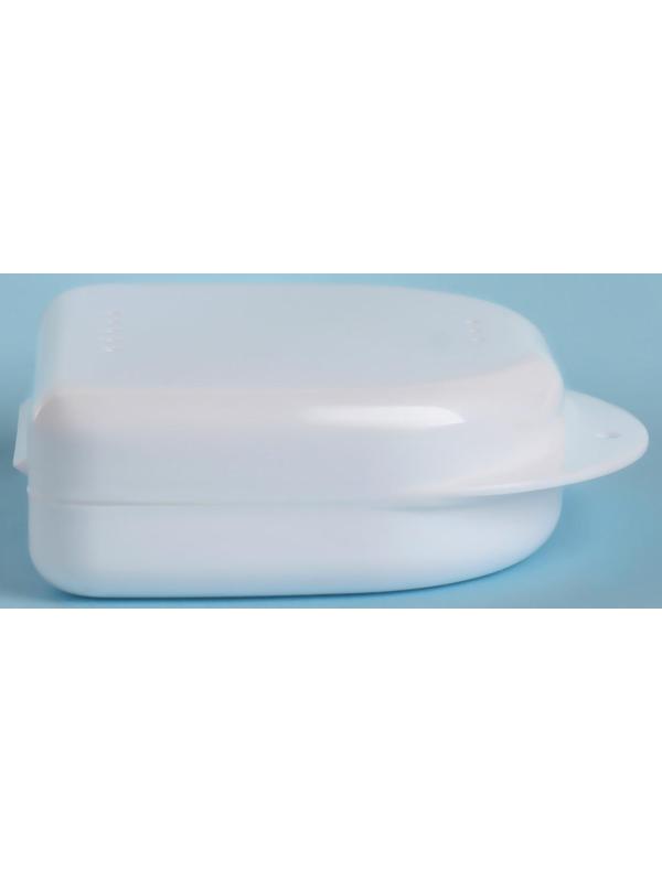 Контейнер для хранения протезов, 8,5 × 8 × 2,7 см, цвет МИКС