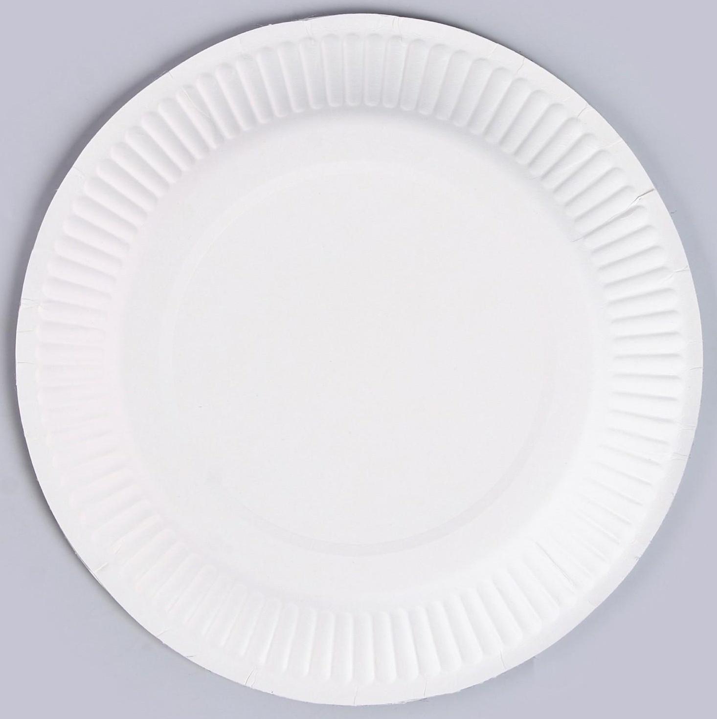 Набор бумажной посуды 