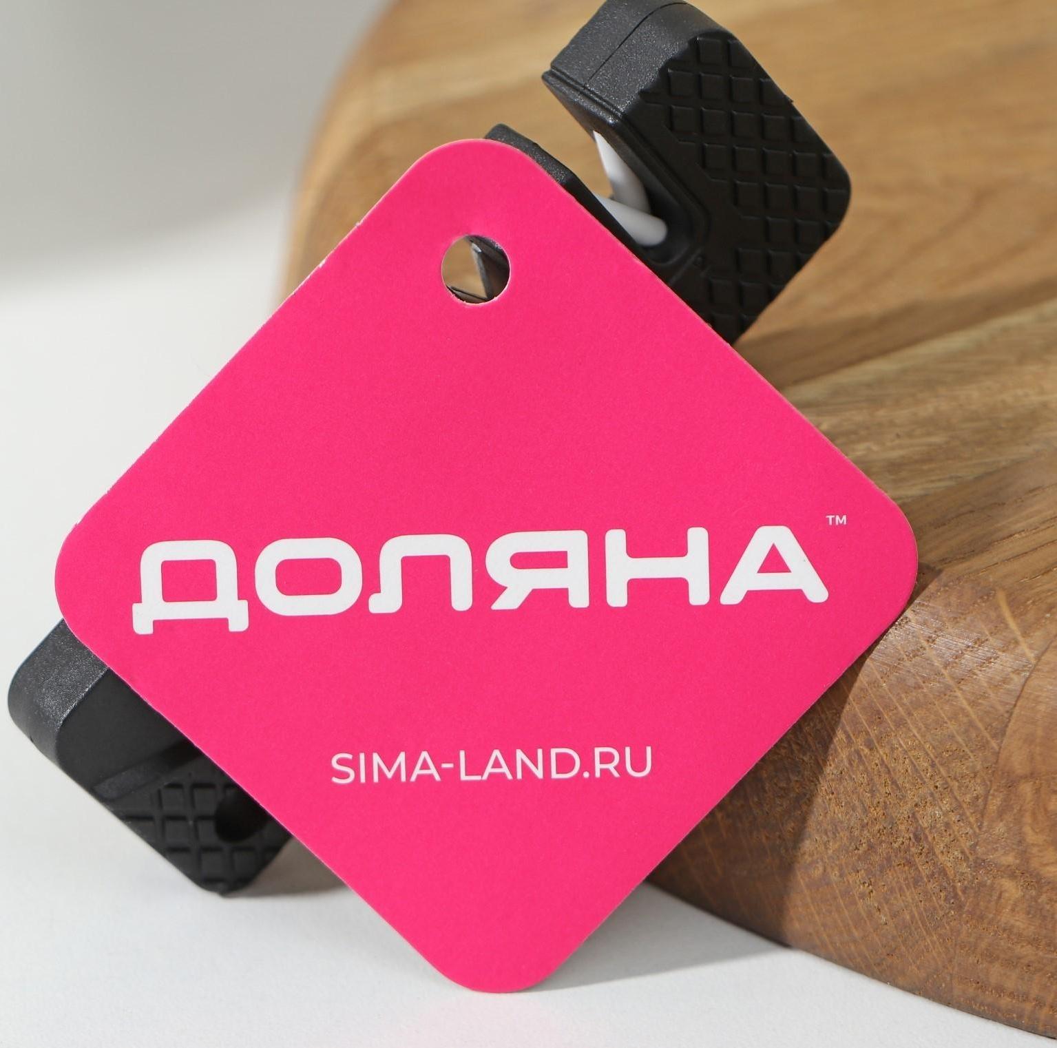 Точилка для ножей «Ловкач», 2 деления, цвет чёрный