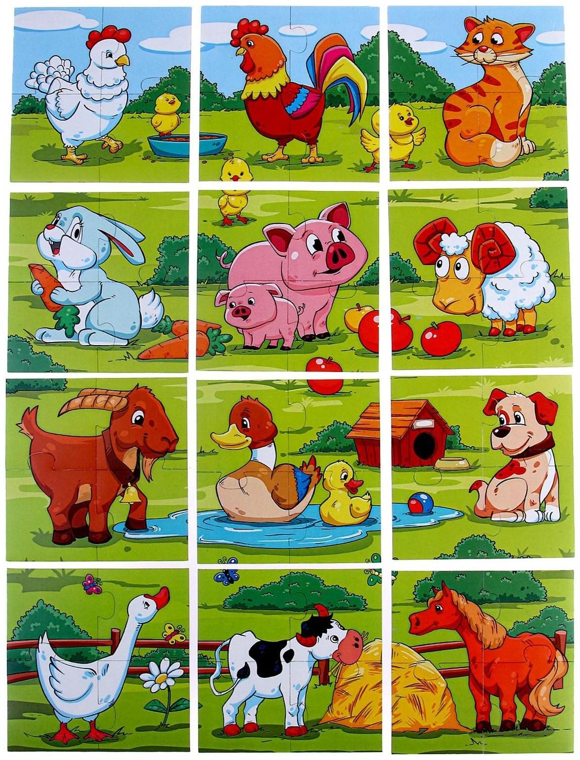 Пазл магнитный «Кто живёт на ферме?»