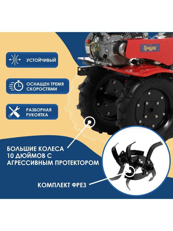 Мотоблок ТУНДРА, 7 л.с., чугунный редуктор, скорости 2/1, колеса 4.00-10