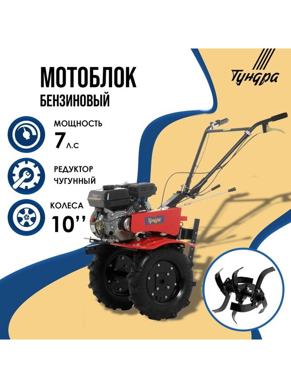 Мотоблок ТУНДРА, 7 л.с., чугунный редуктор, скорости 2/1, колеса 4.00-10