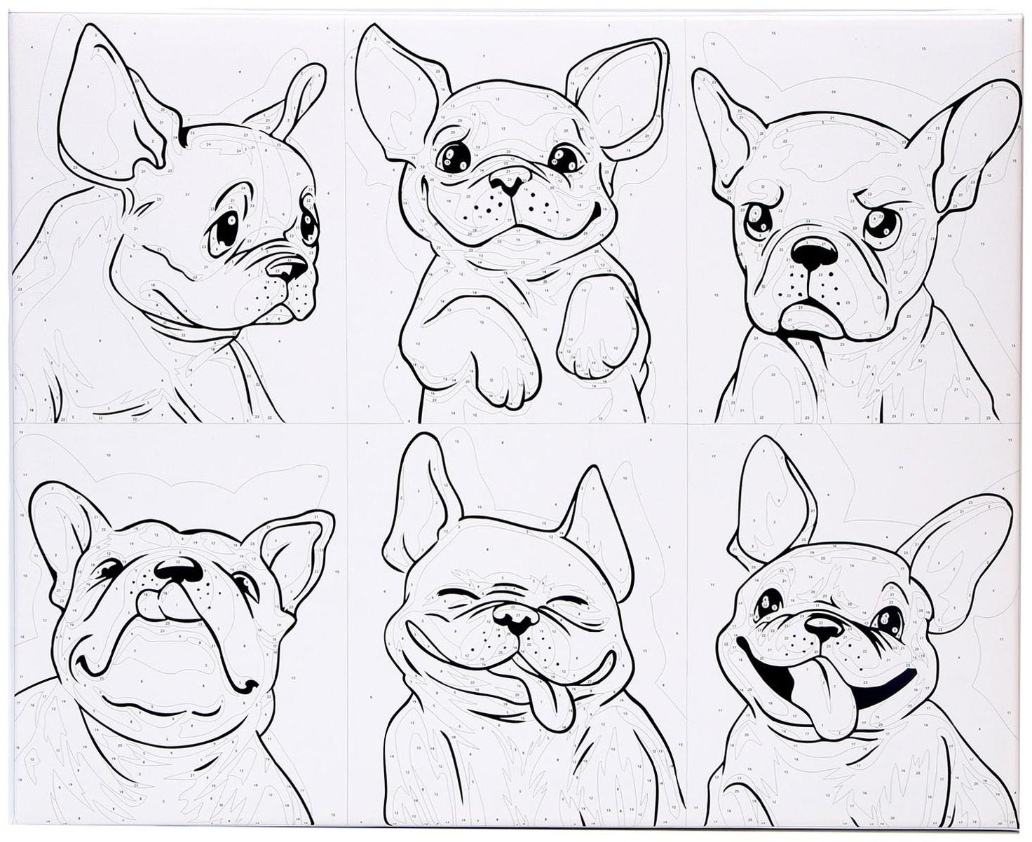 Картина по номерам на холсте «Яркие бульдоги», 40х50 см