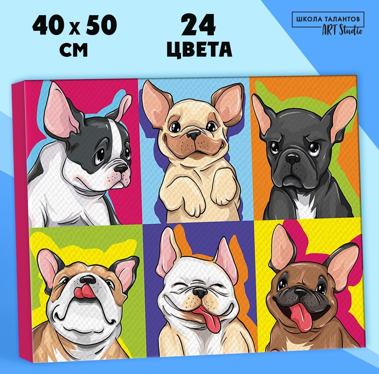Картина по номерам на холсте «Яркие бульдоги», 40х50 см