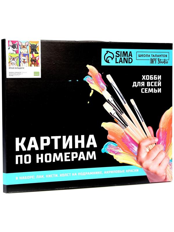 Картина по номерам на холсте «Яркие бульдоги», 40х50 см