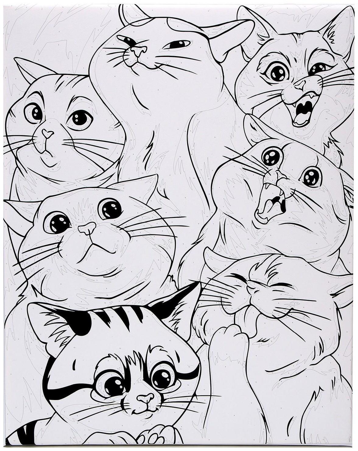 Картина по номерам на холсте «Яркие котики», 40х50 см