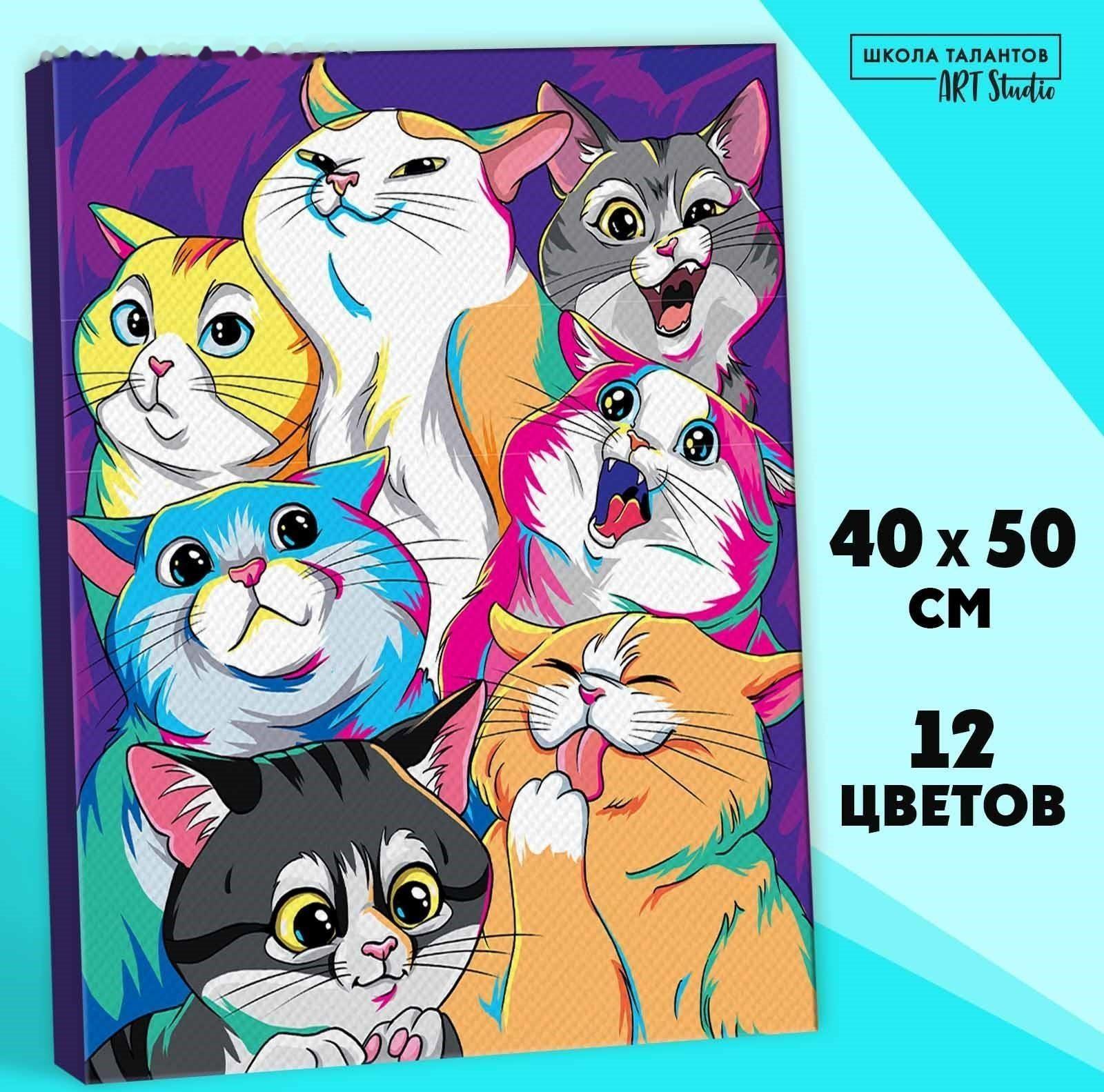 Картина по номерам на холсте «Яркие котики», 40х50 см