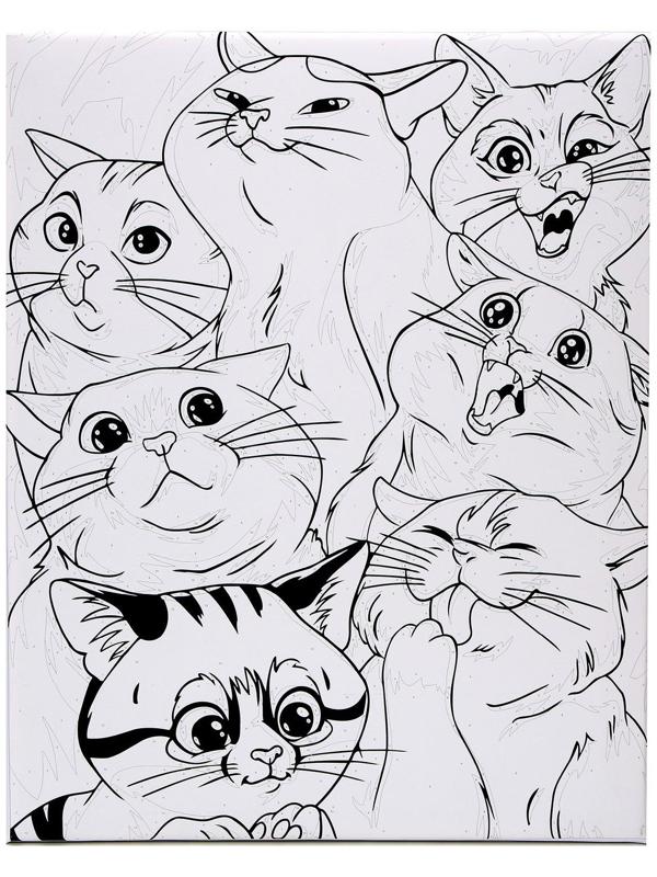 Картина по номерам на холсте «Яркие котики», 40х50 см
