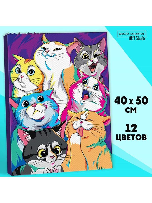 Картина по номерам на холсте «Яркие котики», 40х50 см