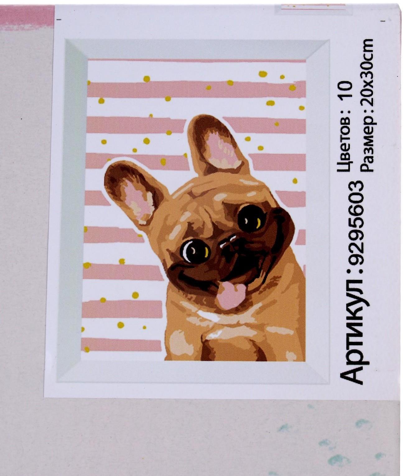 Картина по номерам на холсте с подрамником «Мопс», 20х30 см