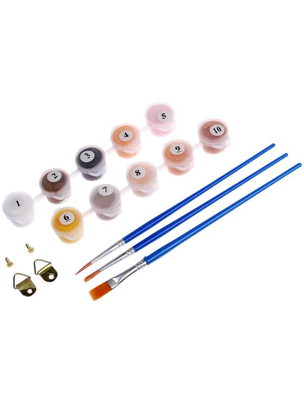 Картина по номерам на холсте с подрамником «Мопс», 20х30 см