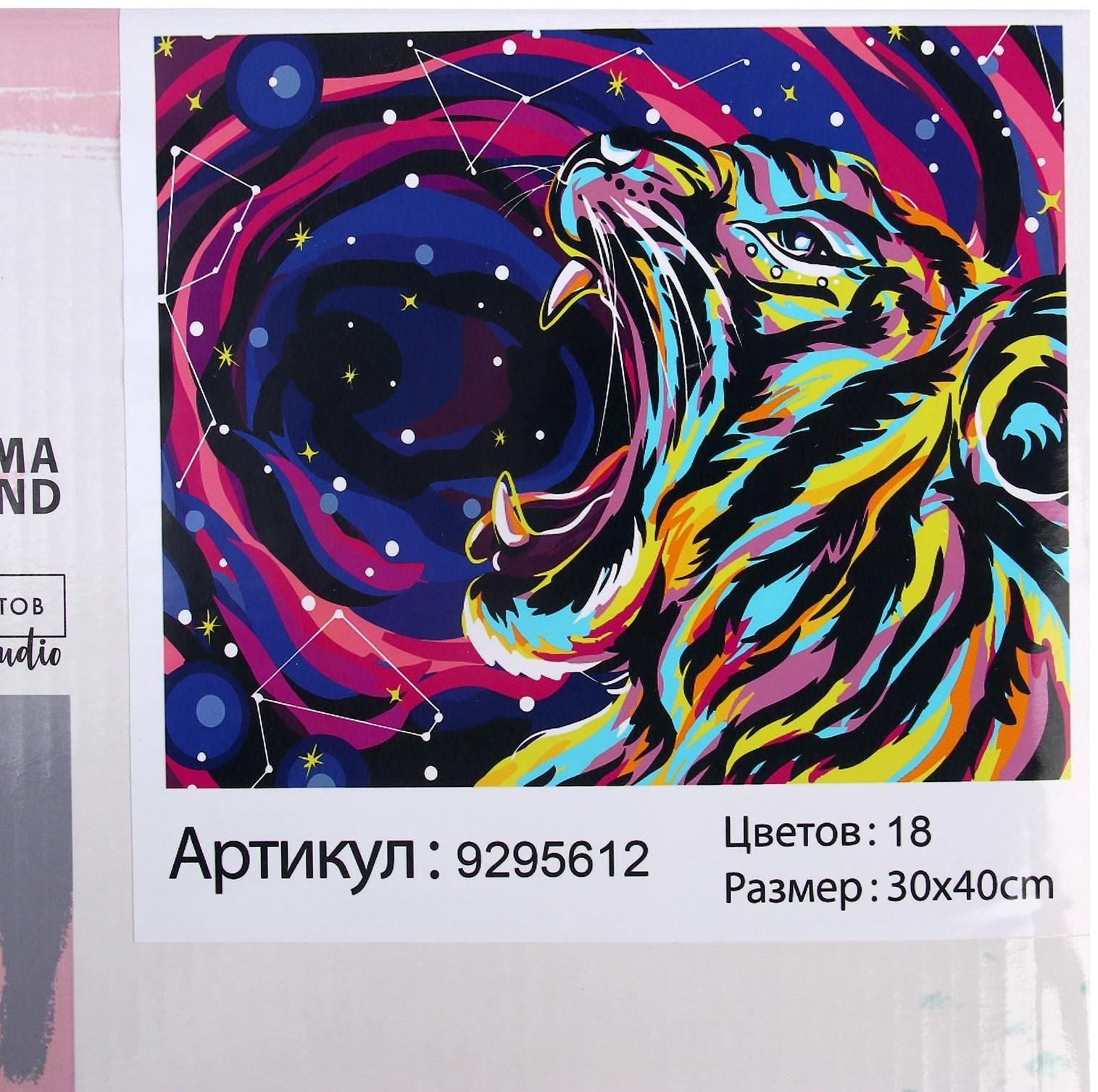 Картина по номерам на холсте с подрамником «Космический тигр», 30х40 см