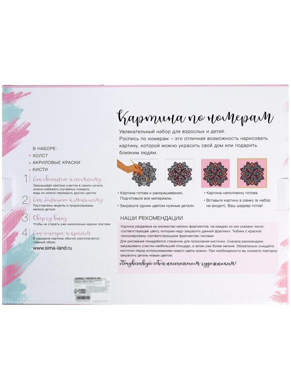 Картина по номерам на холсте с подрамником «Космический тигр», 30х40 см