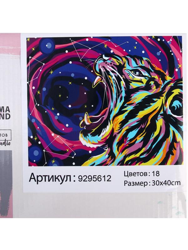Картина по номерам на холсте с подрамником «Космический тигр», 30х40 см