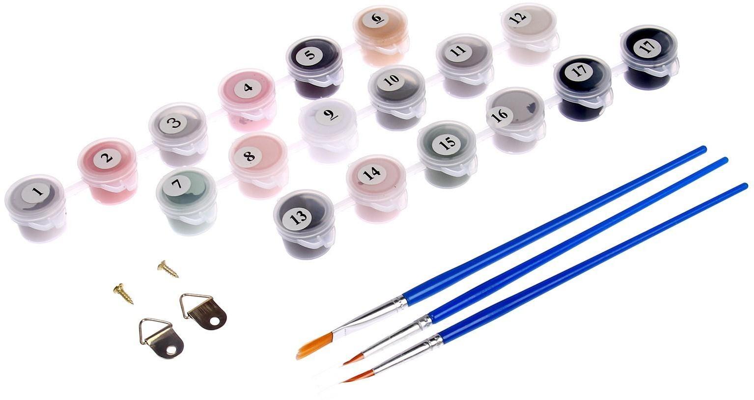 Картина по номерам на холсте с подрамником «Давид», 30х40 см