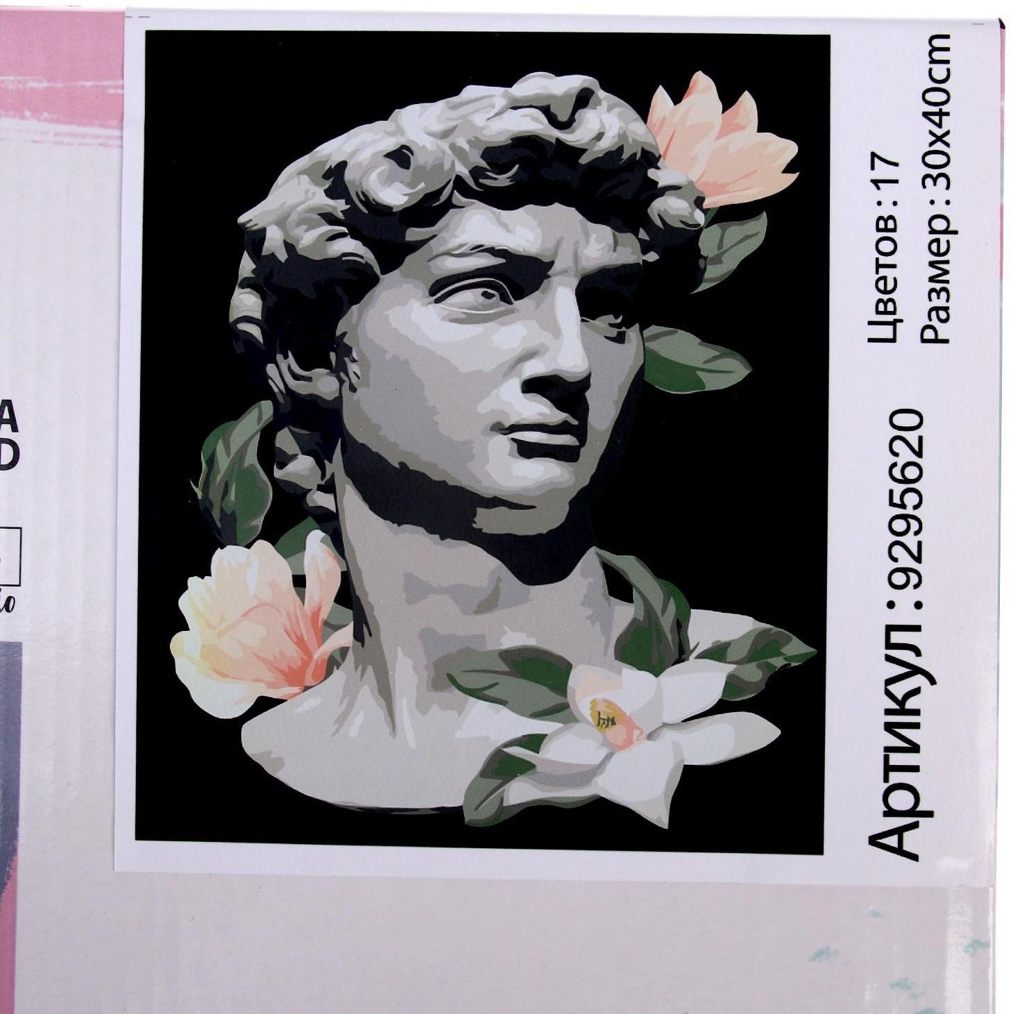 Картина по номерам на холсте с подрамником «Давид», 30х40 см