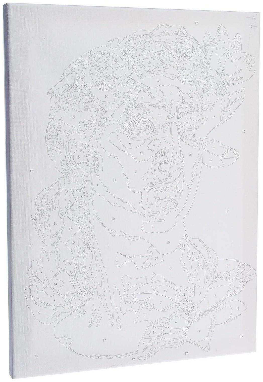 Картина по номерам на холсте с подрамником «Давид», 30х40 см