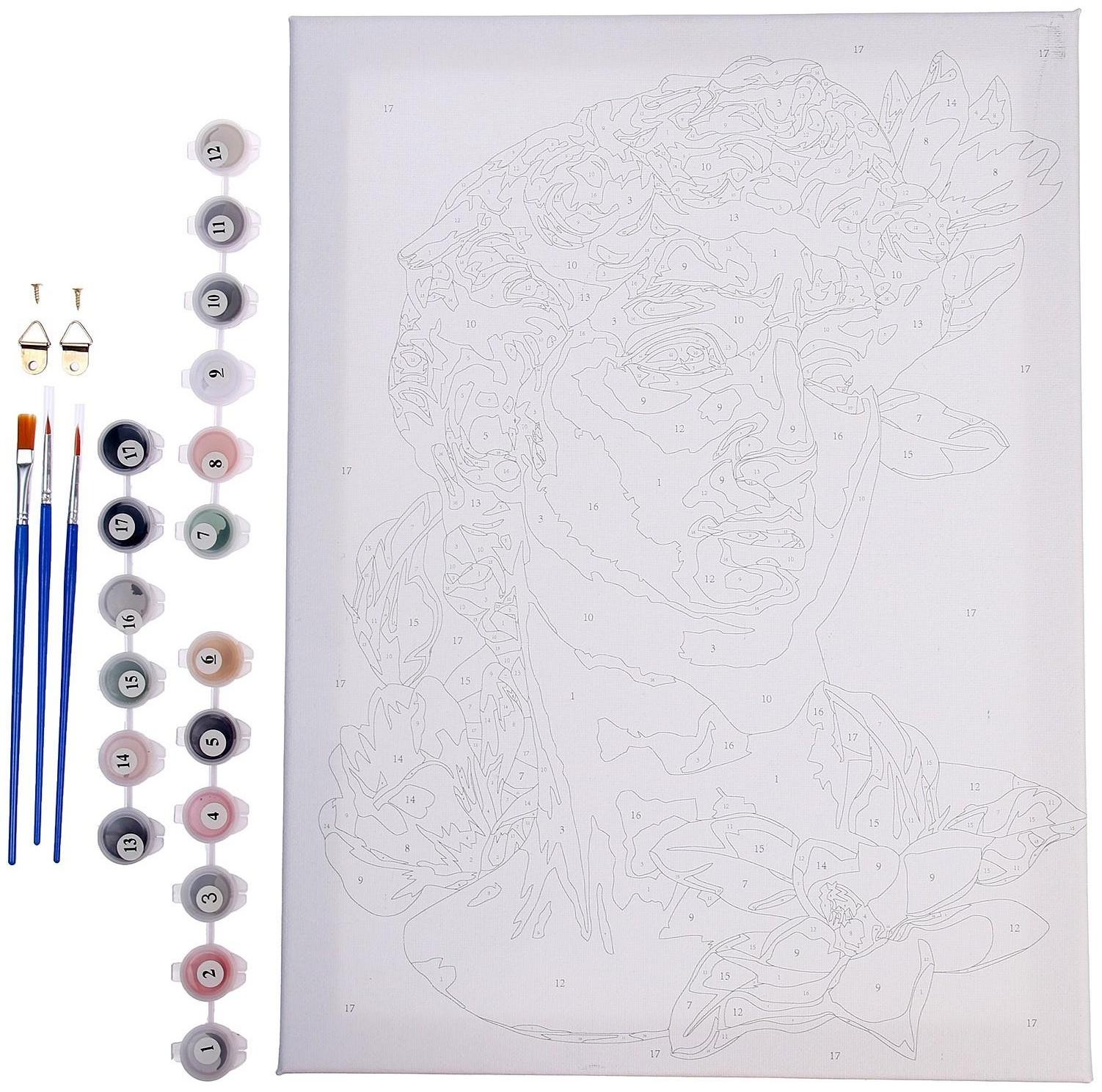 Картина по номерам на холсте с подрамником «Давид», 30х40 см