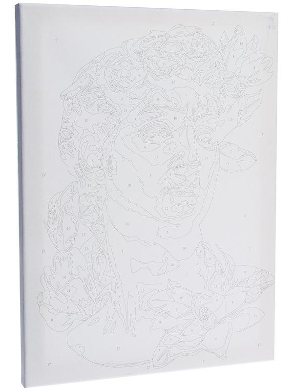 Картина по номерам на холсте с подрамником «Давид», 30х40 см