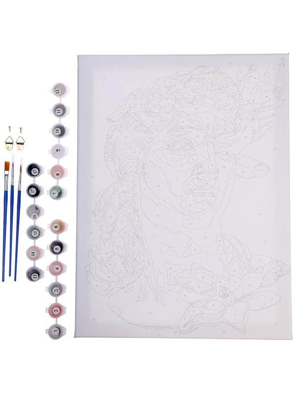 Картина по номерам на холсте с подрамником «Давид», 30х40 см