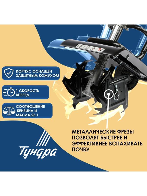 Культиватор бензиновый ТУНДРА, 2.3 л.с., 1700 Вт, 1 скорость, ширина 30 см, глубина 12 см
