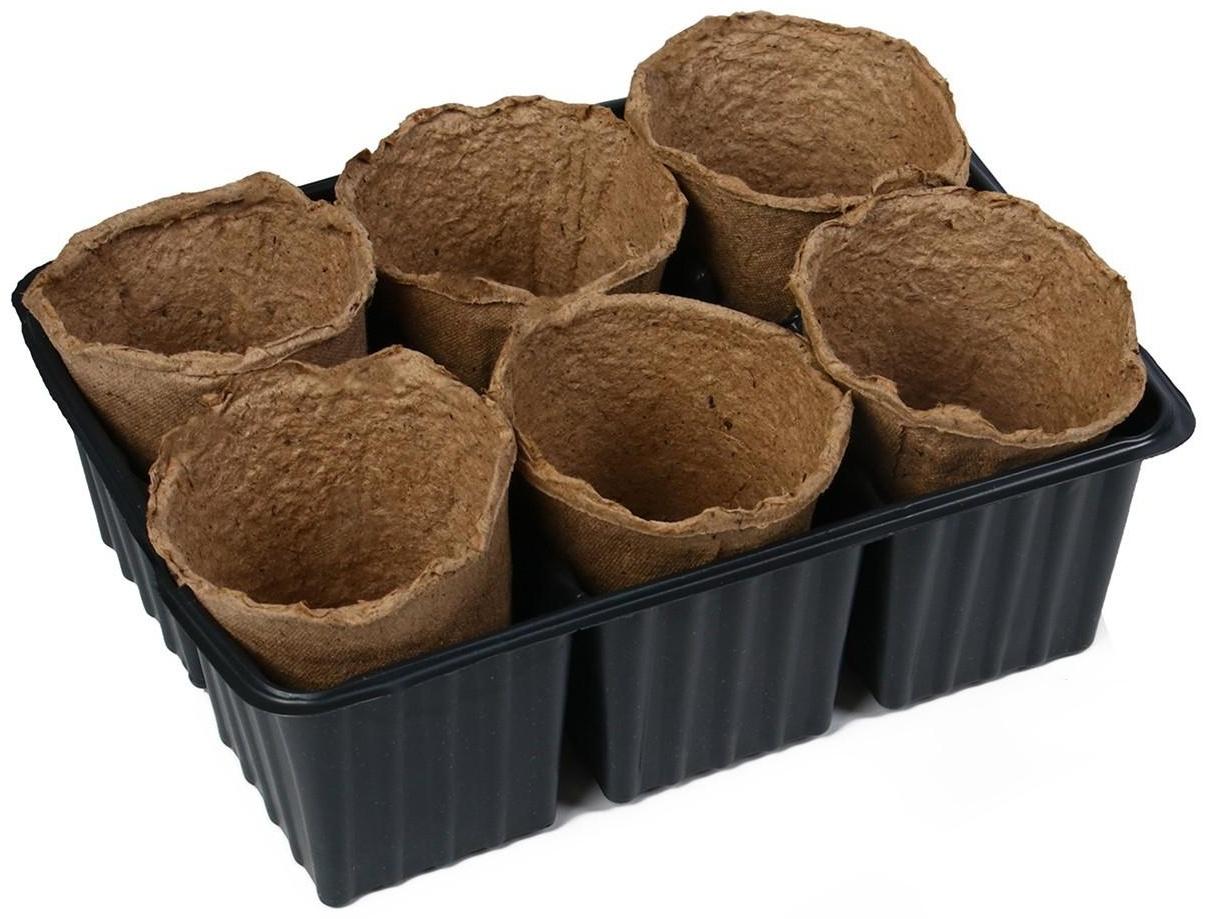 Набор для рассады: торфяной горшок 6 × 6 см, кассета на 6 ячеек