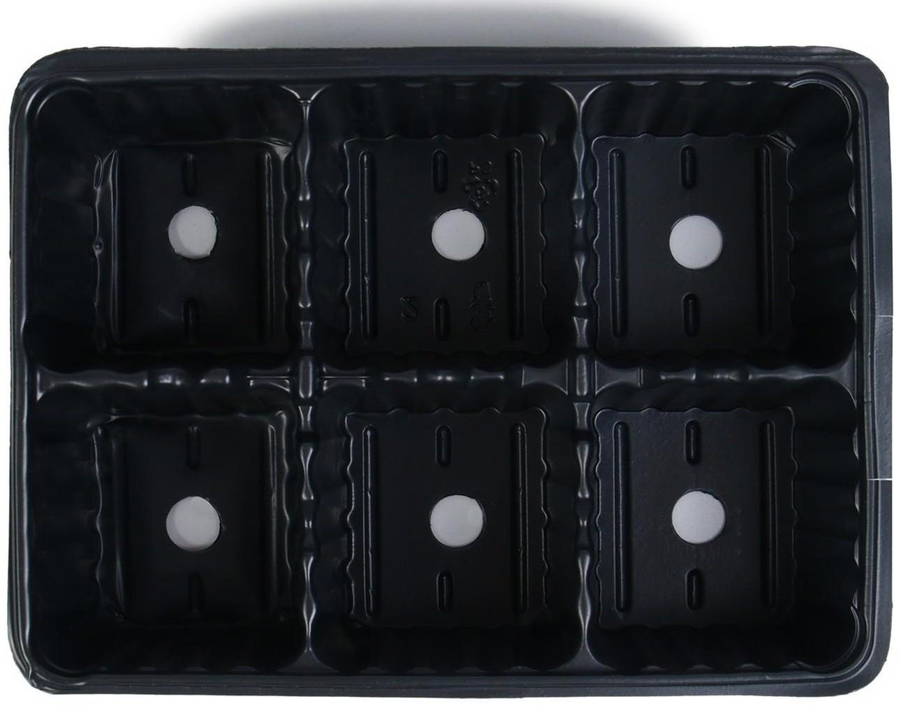 Набор для рассады: торфяной горшок 6 × 6 см, кассета на 6 ячеек