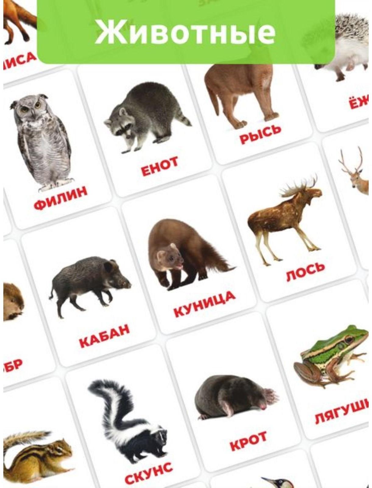 Головоломка «Развивающие карточки. Лесные животные»